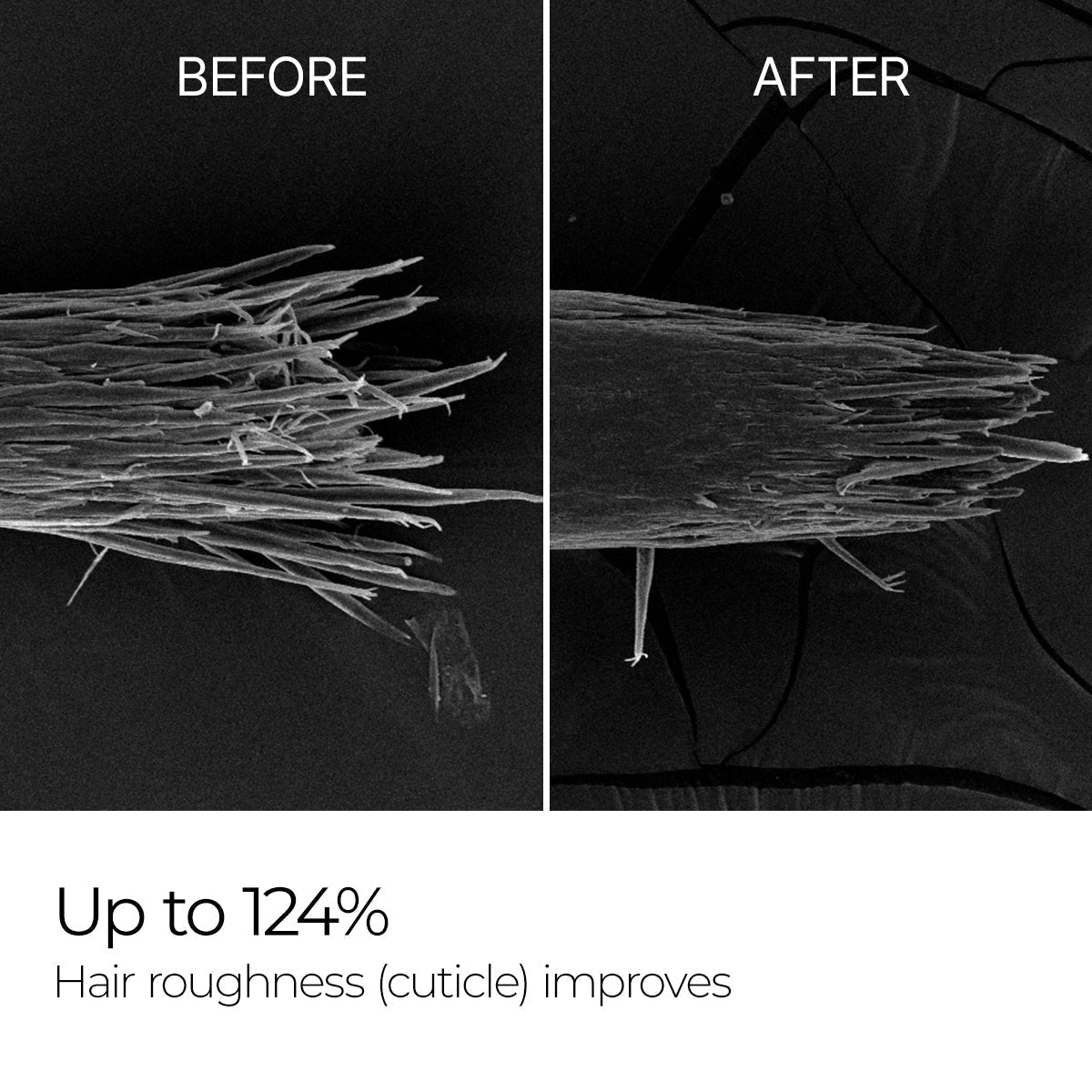 Bondex Hair Clinic Duo Set