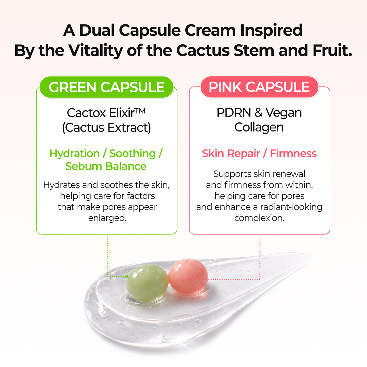 [CLEARANCE SALE] CACTOX Cooling & Firming Essentials